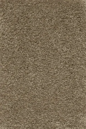 Ковровое покрытие AW Certosa 35 - (4м) в Томске