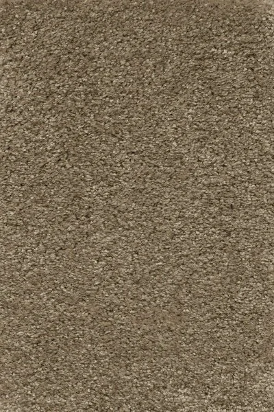 Ковровое покрытие AW Certosa 35 - (5м) в Томске