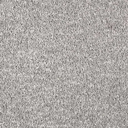 Ковровое покрытие AW Kiama 97 - (5м) в Томске