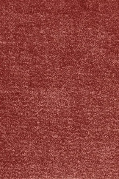 Ковровое покрытие AW Omphale 10 - (5м) в Томске