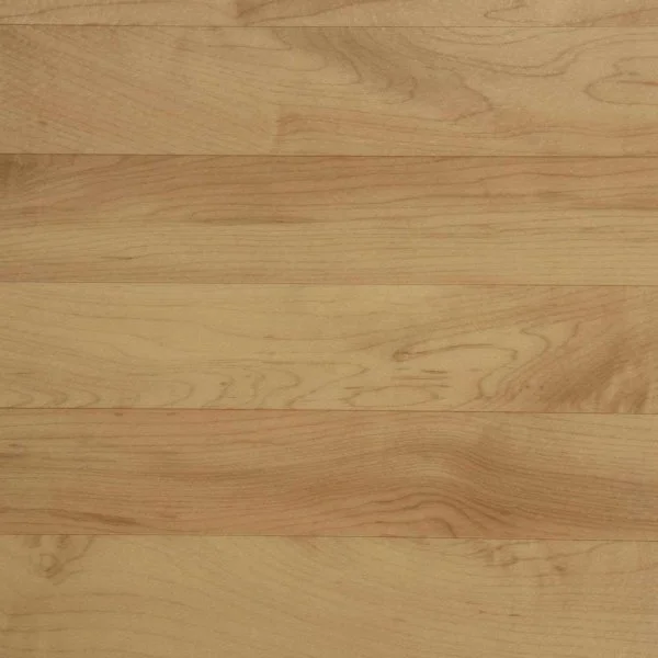 Спортивный линолеум Tarkett Omnisports Action 65 Cold Beech в Томске