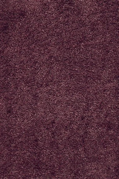 Ковровое покрытие AW Fedone 19 - (5м) в Томске