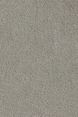 Ковровое покрытие AW Messalina 9 - (5м) в Томске