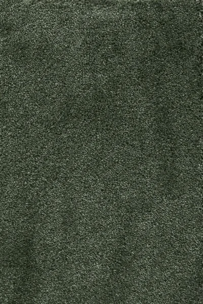 Ковровое покрытие AW Fedone 24 - (5м) в Томске