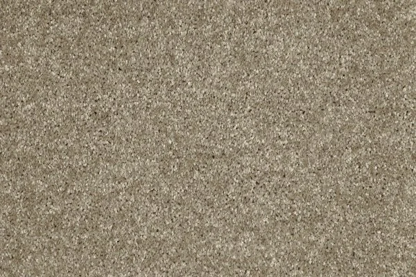 Ковровое покрытие AW Gala 33 - (4м) в Томске