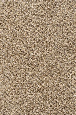 Ковровое покрытие AW Stainaway Tweed 50 - (4м) в Томске
