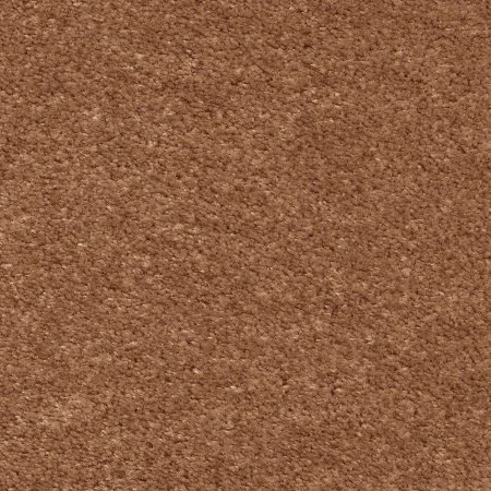 Ковровое покрытие AW Euphoria 84 - (4м) в Томске