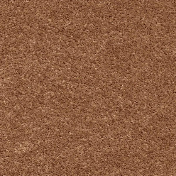 Ковровое покрытие AW Euphoria 84 - (5м) в Томске