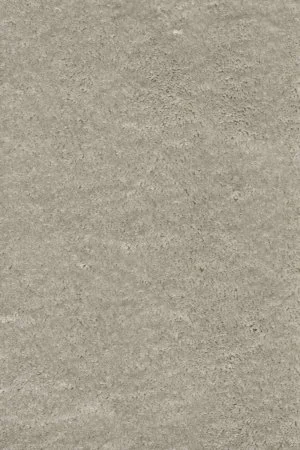 Ковровое покрытие AW Fedone 90 - (5м) в Томске