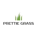 Искусственная трава Prettie Grass купить в Томске по выгодной цене Искусственная трава Prettie Grass в Томске