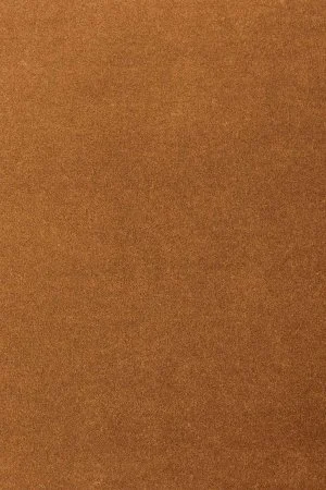 Ковровое покрытие AW Oinone 84 - (4м) в Томске