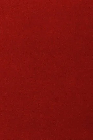 Ковровое покрытие AW Oinone 10 - (5м) в Томске