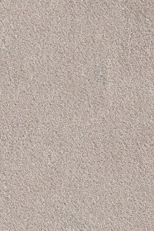 Ковровое покрытие AW Messalina 37 - (5м) в Томске