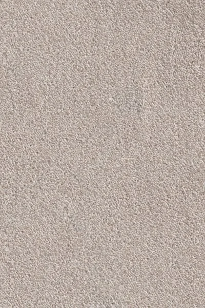 Ковровое покрытие AW Messalina 37 - (4м) в Томске