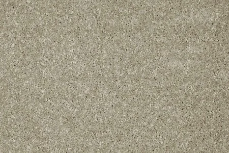 Ковровое покрытие AW Gala 03 - (4м) в Томске