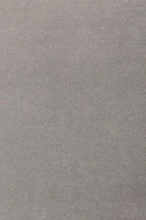 Ковровое покрытие AW Oinone 94 - (4м) в Томске