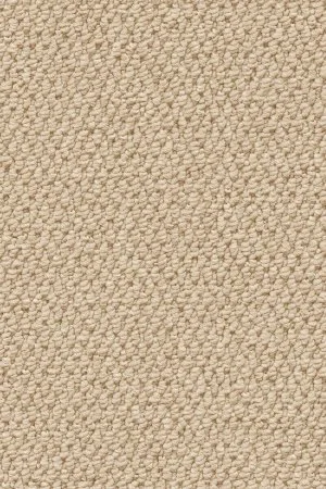 Ковровое покрытие AW Skye 03 - (4м) в Томске