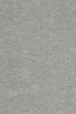 Ковровое покрытие AW Euphoria 92 - (4м) в Томске