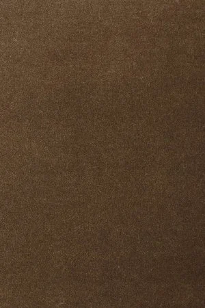 Ковровое покрытие AW Oinone 44 - (5м) в Томске