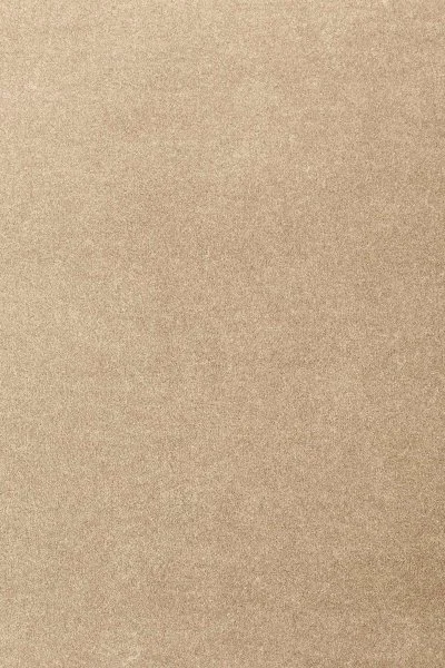 Ковровое покрытие AW Oinone 36 - (4м) в Томске