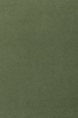 Ковровое покрытие AW Oinone 24 - (5м) в Томске