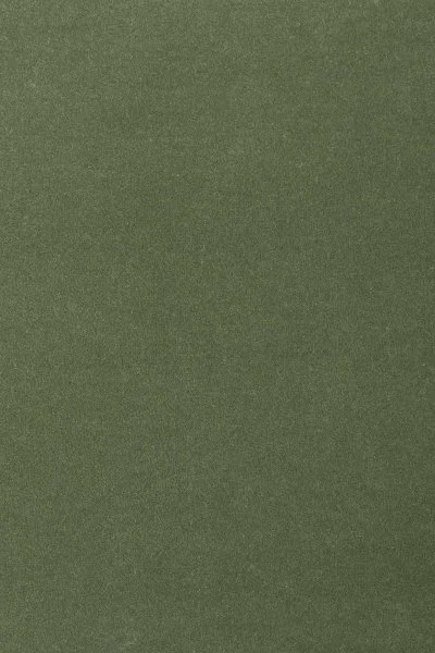 Ковровое покрытие AW Oinone 24 - (4м) в Томске