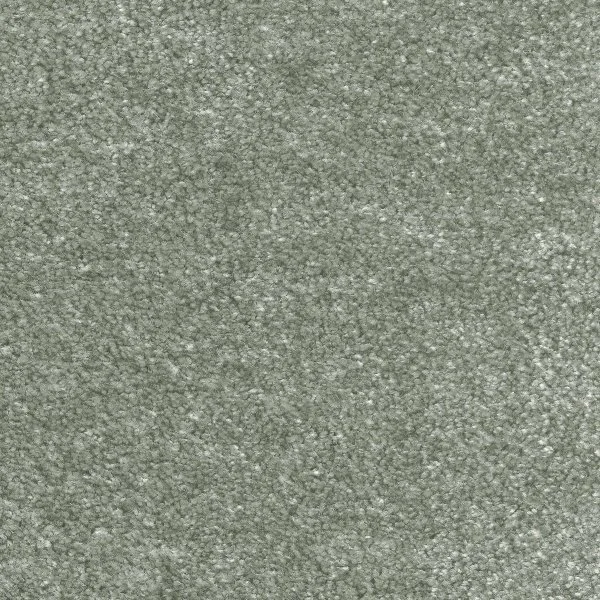 Ковровое покрытие AW Euphoria 28 - (5м) в Томске