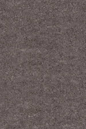 Ковровое покрытие AW Euphoria 45 - (5м) в Томске