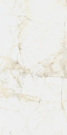 Керамогранит Coliseum Канова Уайт 60х120 (Натуральный и Реттифицированный) в Томске