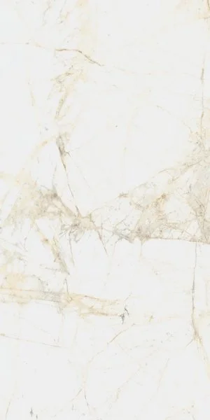 Керамогранит Coliseum Канова Уайт 60х120 (Натуральный и Реттифицированный) в Томске