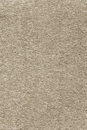 Ковровое покрытие AW Omnia 33 - (4м) в Томске