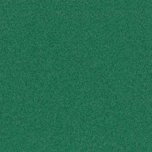 Линолеум Tarkett Primo Plus CPRPI-312 2 м в #REGION_NAME_DECLINE_PP#