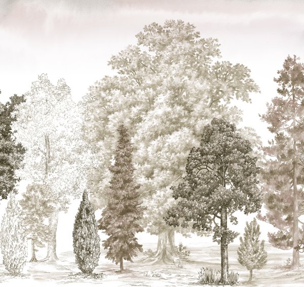 ART14 012 (вблизи)